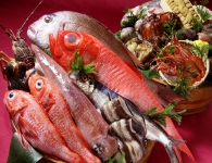 最高の味を提供する和食専門店の調理スタッフ募集　千代田区で人気！